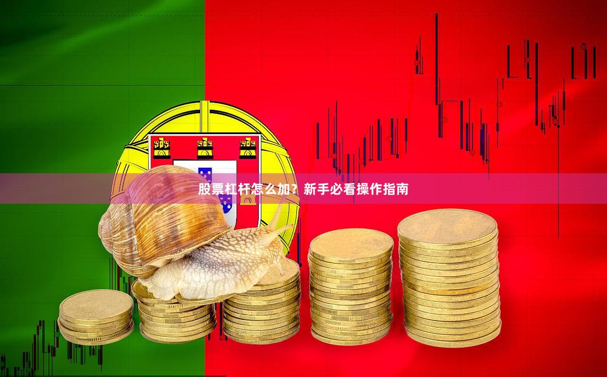 股票杠杆怎么加？新手必看操作指南